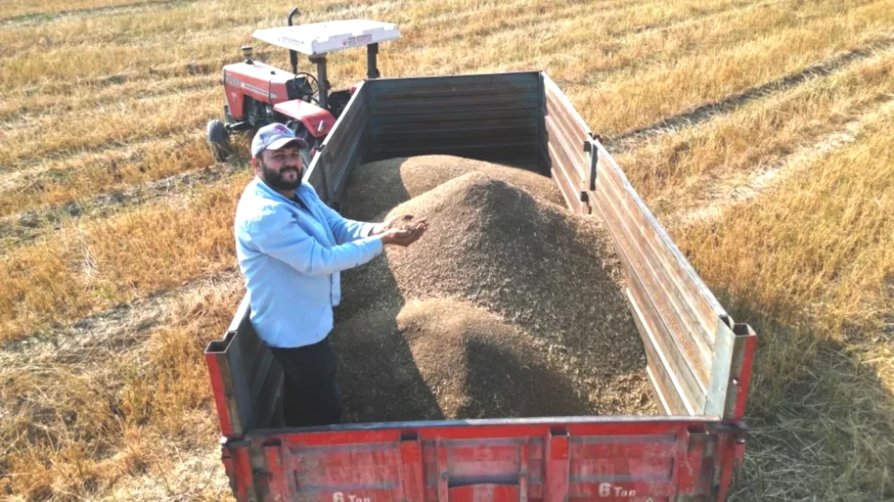 Hasat Sezonu Açıldı! Tarlada Kilo Fiyatı 100 TL, Türkiye’nin İhtiyacı Karşılanıyor!